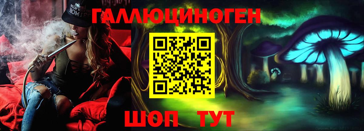 Галлюциногенные грибы прущие грибы Богородск